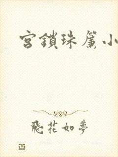 宫锁珠帘小说