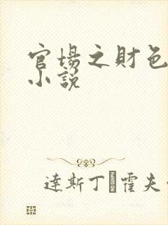 官场之财色诱人小说