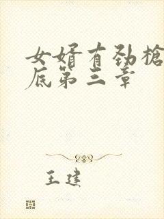 女婿有劲枪枪到底第三章封面