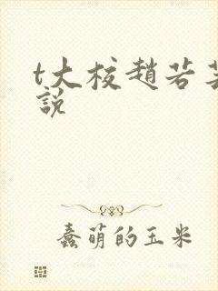 t大校赵若芸小说