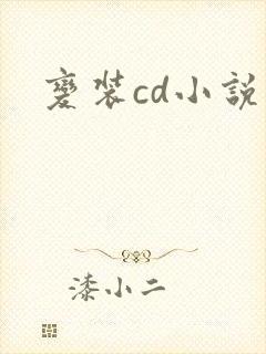 变装cd小说