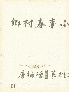 乡村春事小说