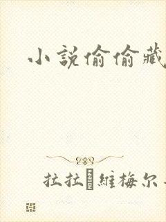 小说偷偷藏不住