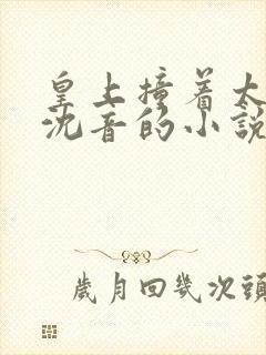 皇上撞着太子妃沈音的小说叫什么