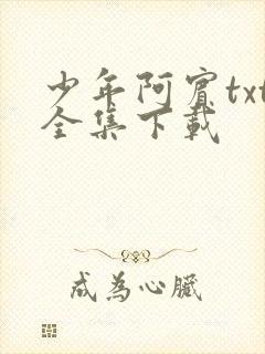 少年阿宾txt全集下载