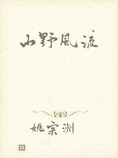 山野风流封面