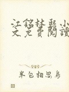 江铭林熙小说全文免费阅读
