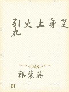 引火上身芝麻糖丸封面