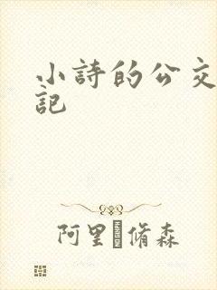 小诗的公交车日记封面