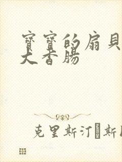 宝宝的扇贝想吃大香肠封面