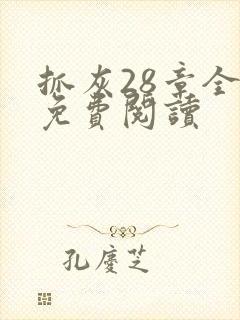 抓灰28章全部免费阅读