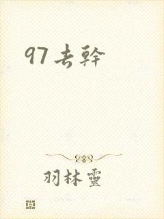 97去干封面
