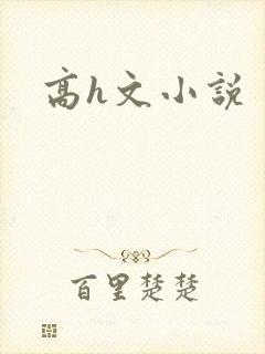 高h文小说封面