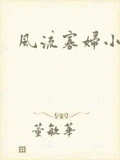 风流寡妇小说