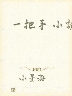 一把手 小说