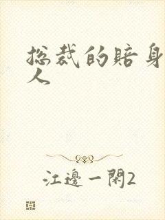 总裁的赔身小情人封面