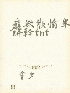 瘾欲欢愉半块小饼干tnt