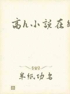 高h小说在线看