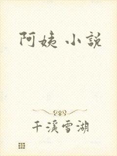 阿姨 小说