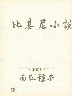 比基尼小说网