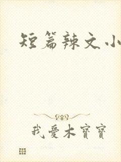 短篇辣文小说