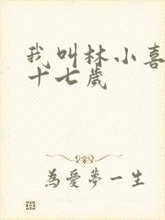 我叫林小喜今年十七岁封面