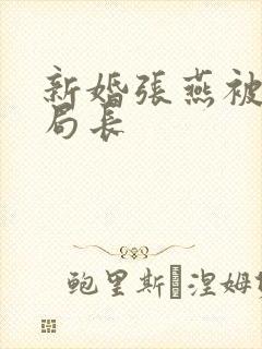 新婚张燕被两个局长封面