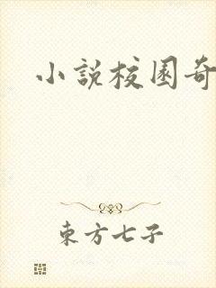 小说校园奇侠