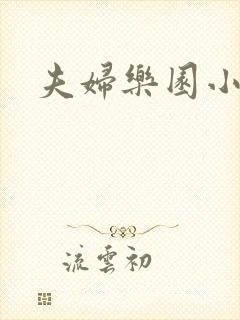 夫妇乐园小说封面