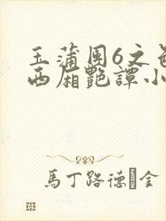 玉蒲团6之色情西厢艳谭小说封面