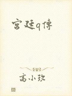 宫廷q传