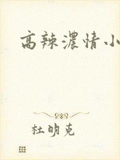 高辣浓情小说
