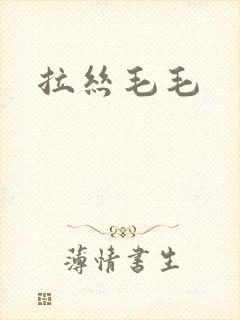 拉丝毛毛