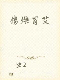 杨烁肖艾