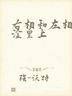 右相和左相一起淦皇上