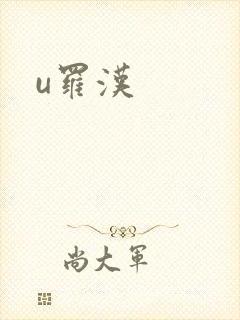 u罗汉封面