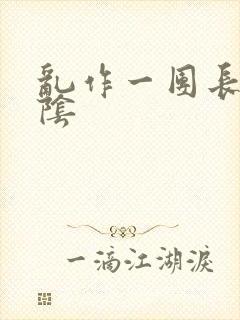 乱作一团长日光阴封面