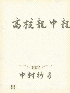 高校龙中龙