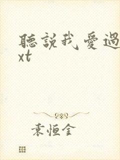 听说我爱过你txt封面