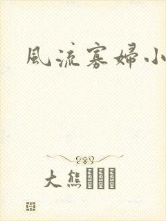 风流寡妇小说