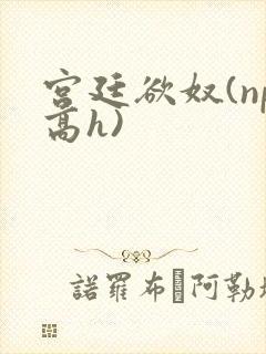 宫廷欲奴(np高h)