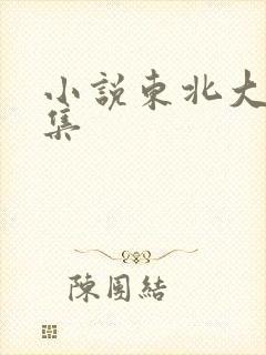 小说东北大炕全集封面