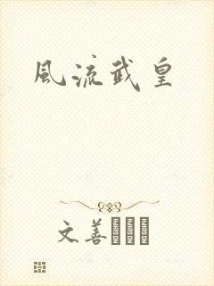 风流武皇