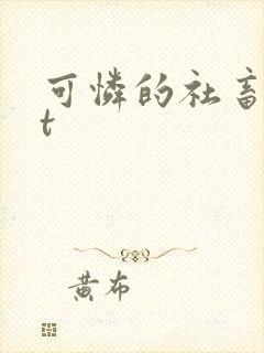 可怜的社畜txt
