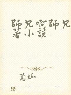 师兄啊师兄的原著小说封面