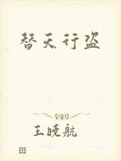 替天行盗
