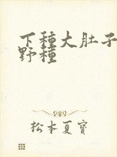 下种大肚子怀孕野种