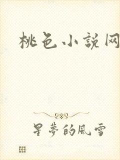 桃色小说网