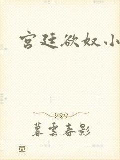 宫廷欲奴小说封面