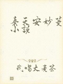 秦天安妙菱修仙小说